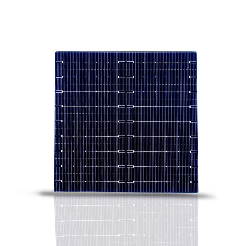 166mm P-tipo monocristal PERC