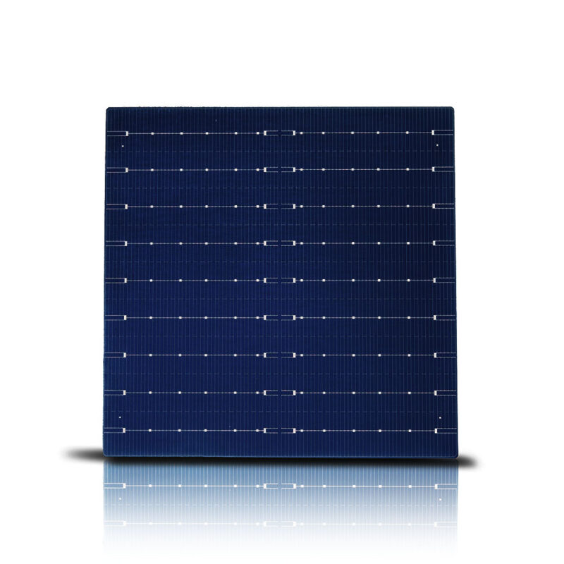 166mm N tipo monocristal TOPCon